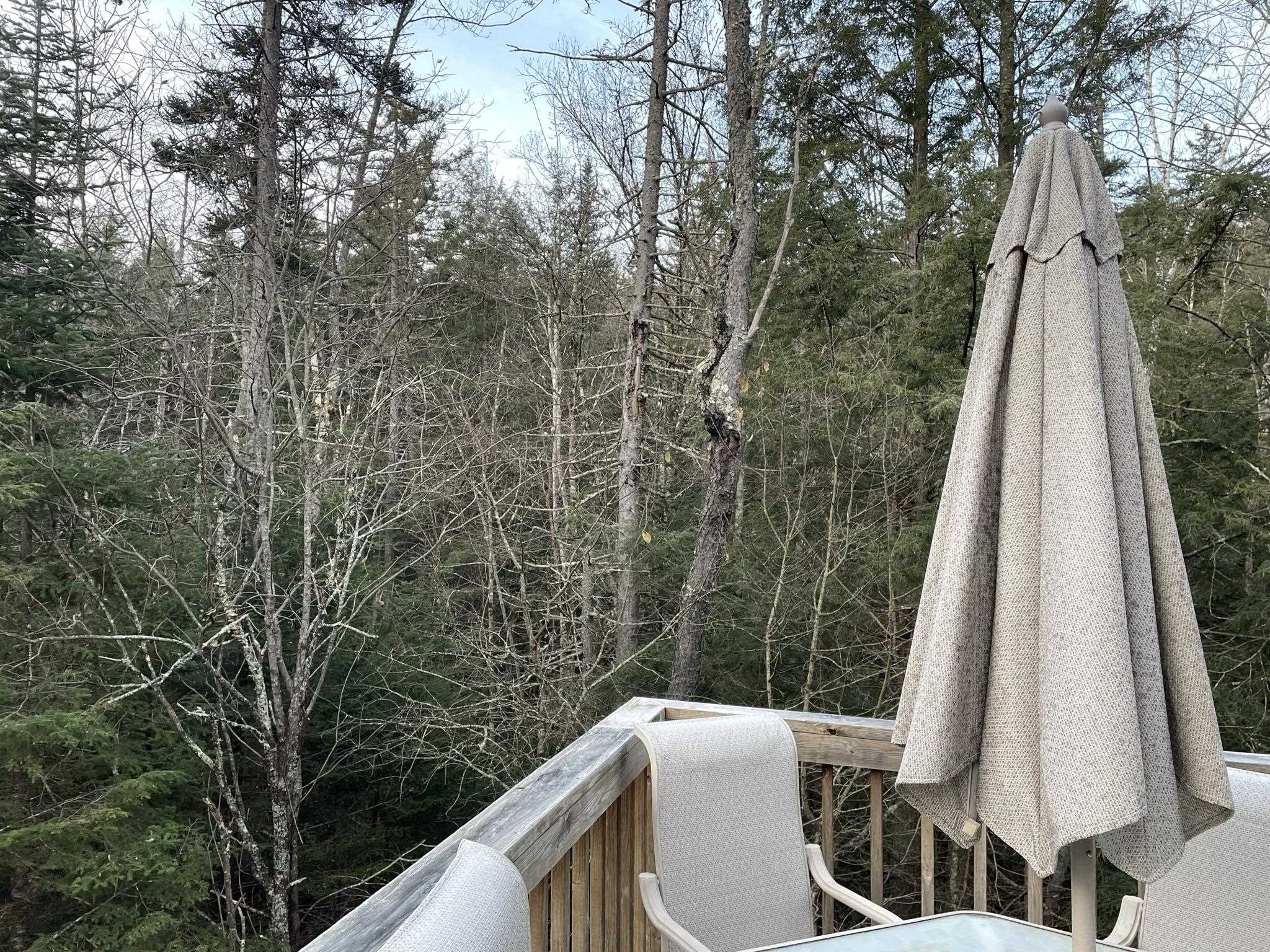 191 Forest Mountain Road Peru, VT 05152 - Photo 10 of 18