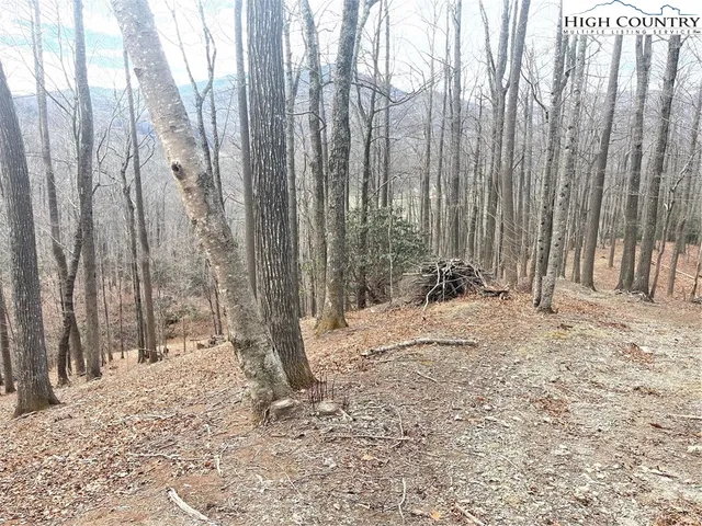 a view of a backyard of the house