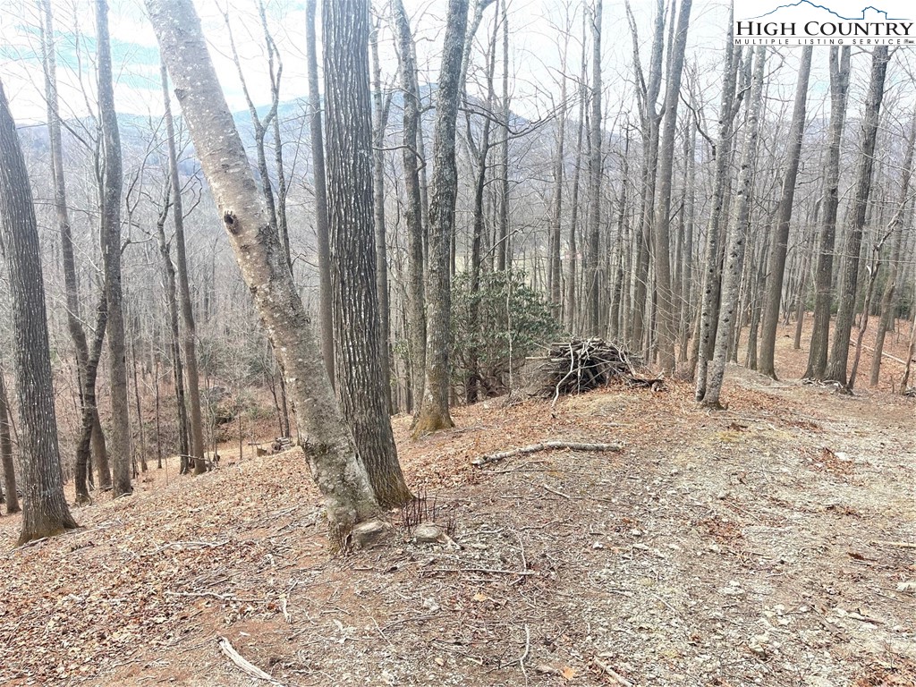 14 Jackson Ridge Road Boone, NC 28607 - Photo 3 of 6 a view of a backyard of the house