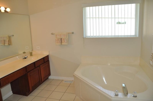 2205 Clipper Court Elgin, IL 60123 - Photo 12 of 24 a bathroom with a tub sink and mirror
