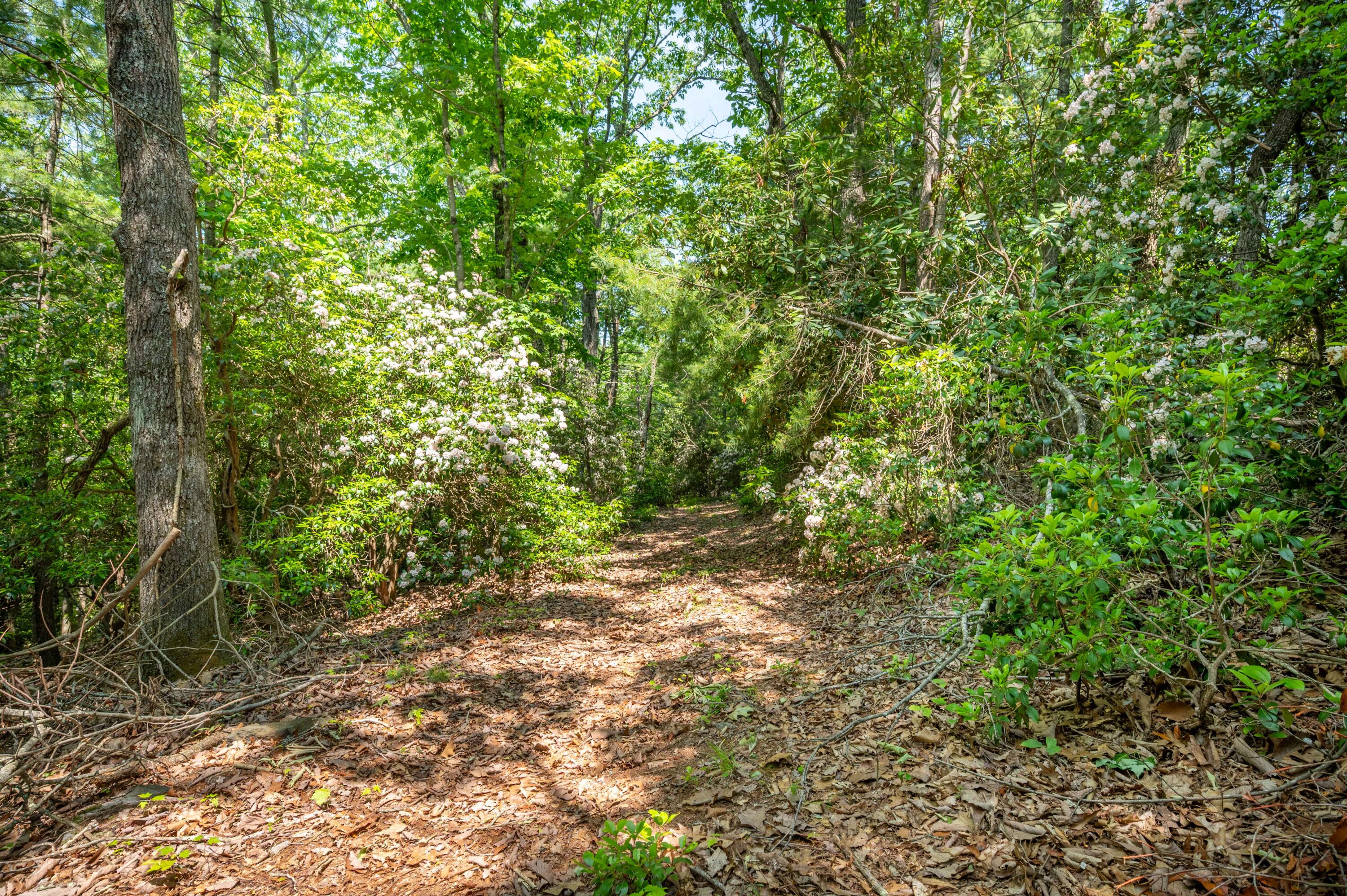 1073 Timberline Road Southeast Copper Hill, VA 24079 - Photo 27 of 56 26