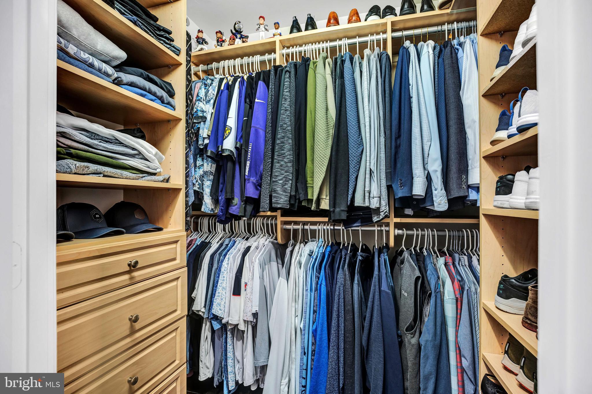 3650 South Glebe Road, Unit 444 Arlington, VA 22202 - Photo 20 of 61 Custom Walk-in Closet