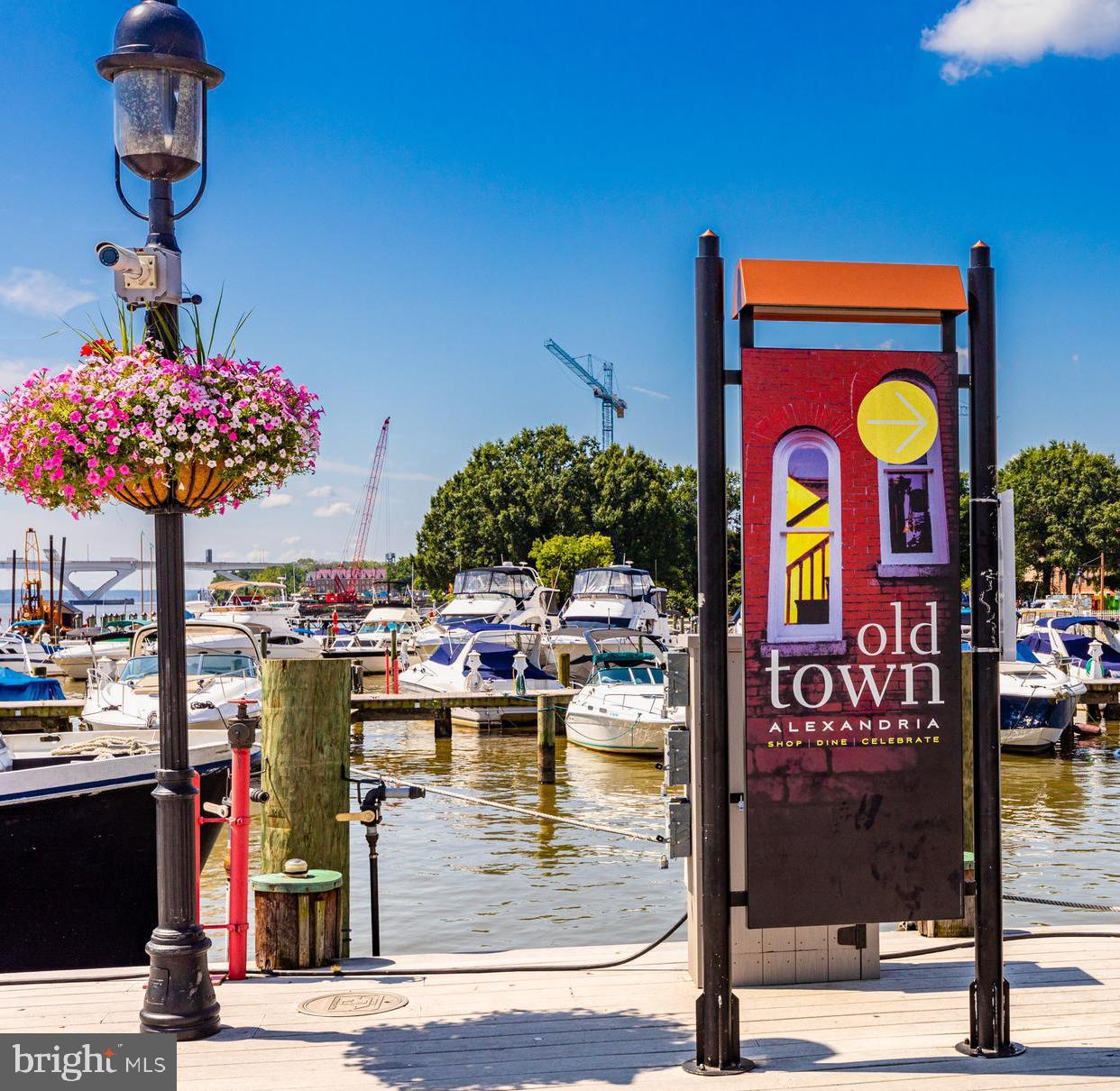 3650 South Glebe Road, Unit 444 Arlington, VA 22202 - Photo 51 of 61 Old Town Waterfront