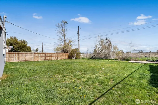 a view of a field with grass and a palm tree