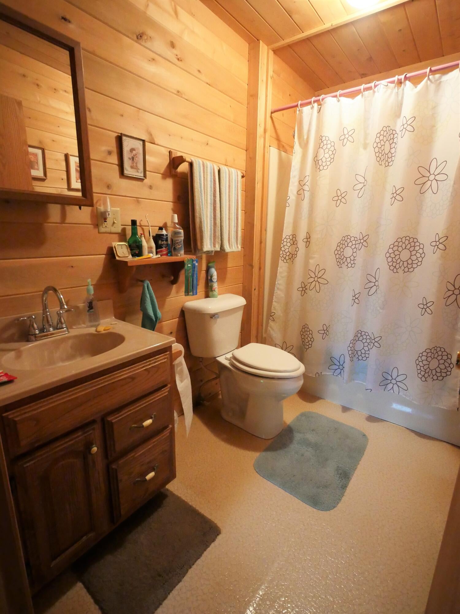 16056 Highland Pines Road Presque Isle, MI 49777 - Photo 11 of 17 Gallery Image 11