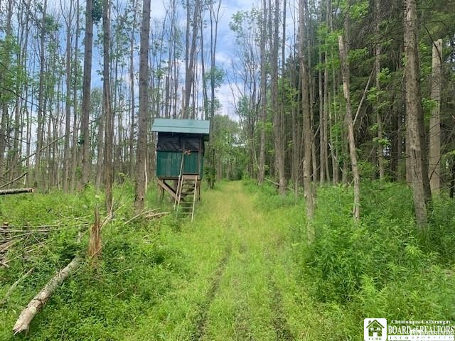905 Waterman Road Kennedy, NY 14747 - Photo 22 of 35