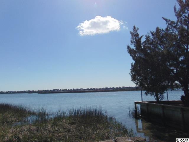 3595 Jordan Landing Road Murrells Inlet, SC 29576 - Photo 39 of 40