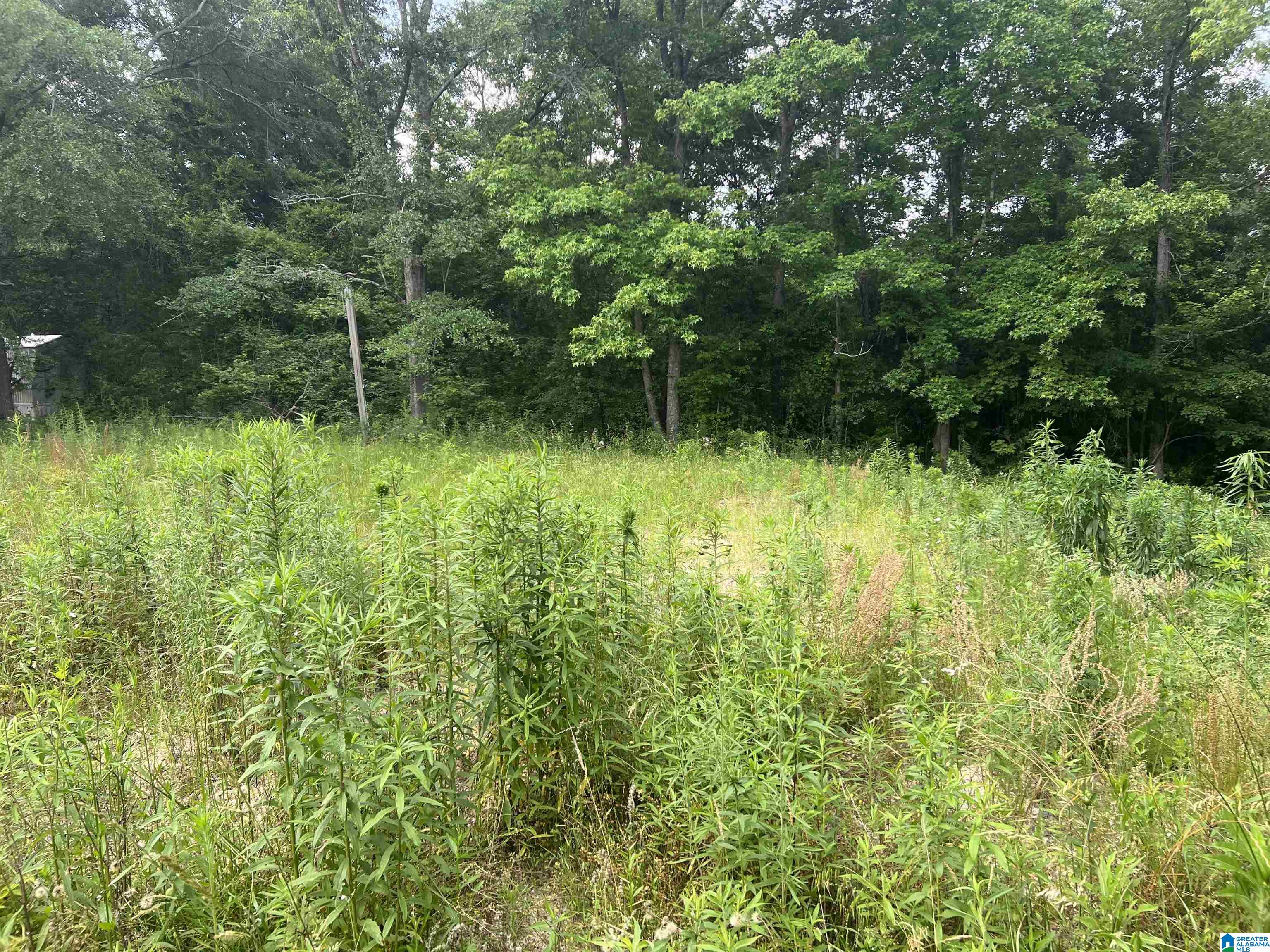 0 County Road 91, Unit 1 Montevallo, AL 35115 - Photo 3 of 4