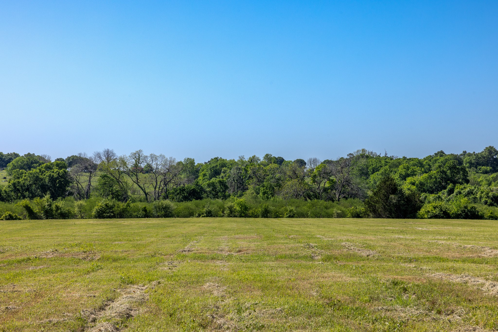 0 Sauney Chapel Road Chappell Hill, TX 77426 - Photo 4 of 10 a view of a field with an ocean