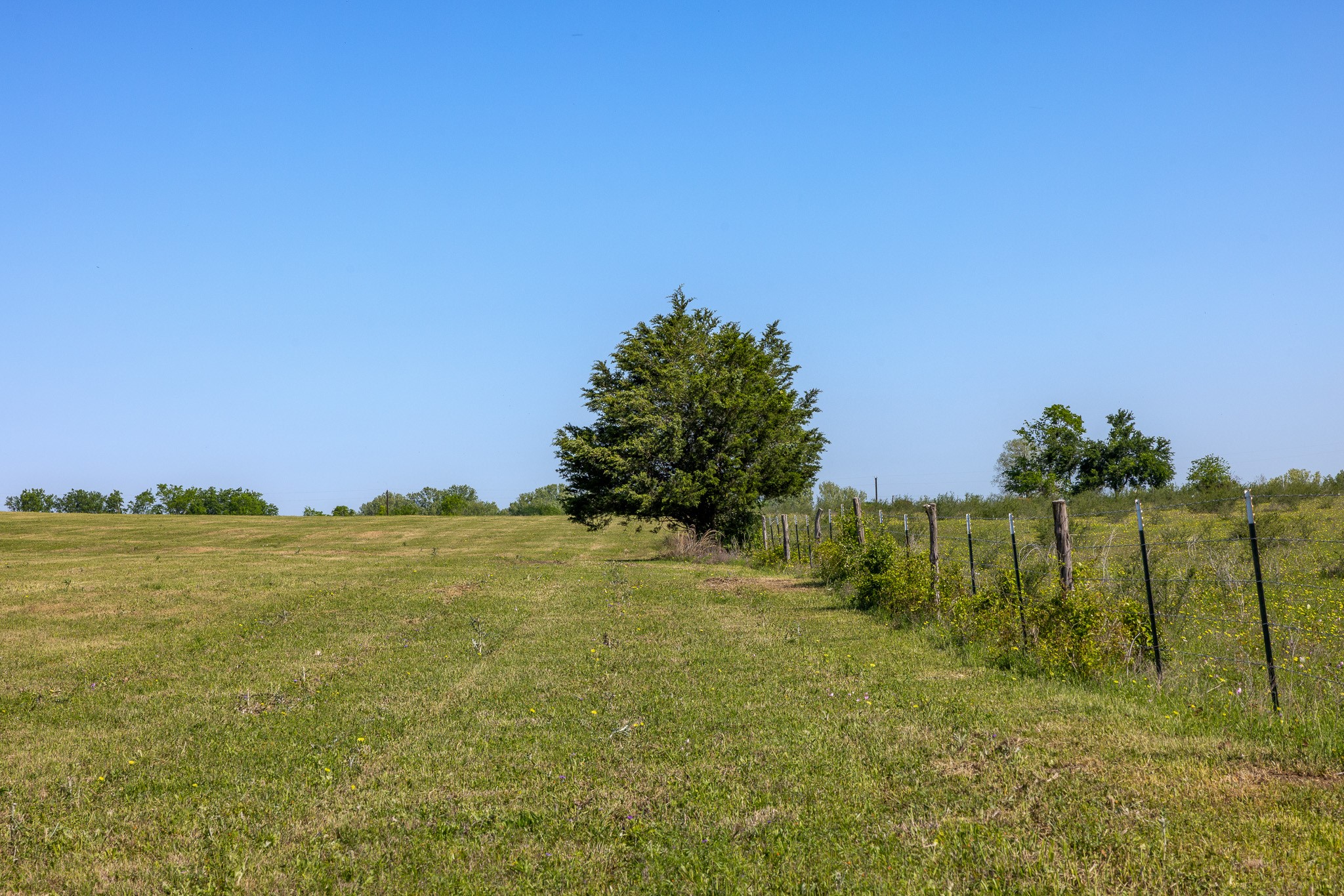 0 Sauney Chapel Road Chappell Hill, TX 77426 - Photo 7 of 10 a view of an ocean