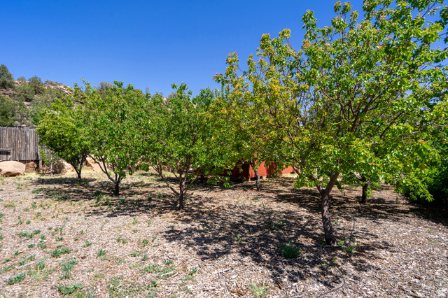 1504 Rome Way Apple Valley, UT 84737 - Photo 20 of 22 Landscaped yard featuring multiple mature trees