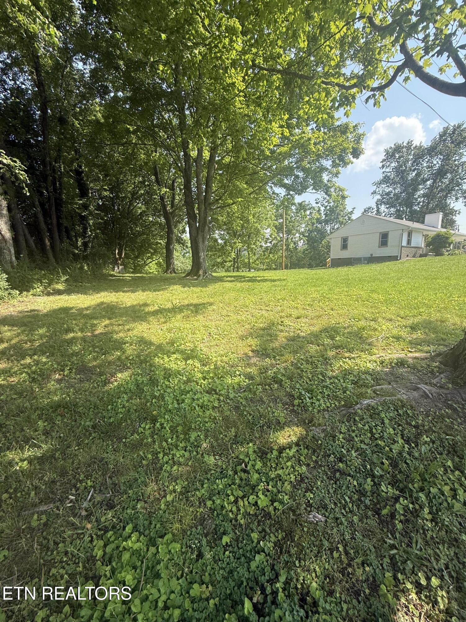 1184 Davis Chapel Road La Follette, TN 37766 - Photo 12 of 45 IMG_0878