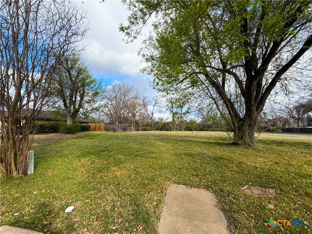 a view of yard with an trees