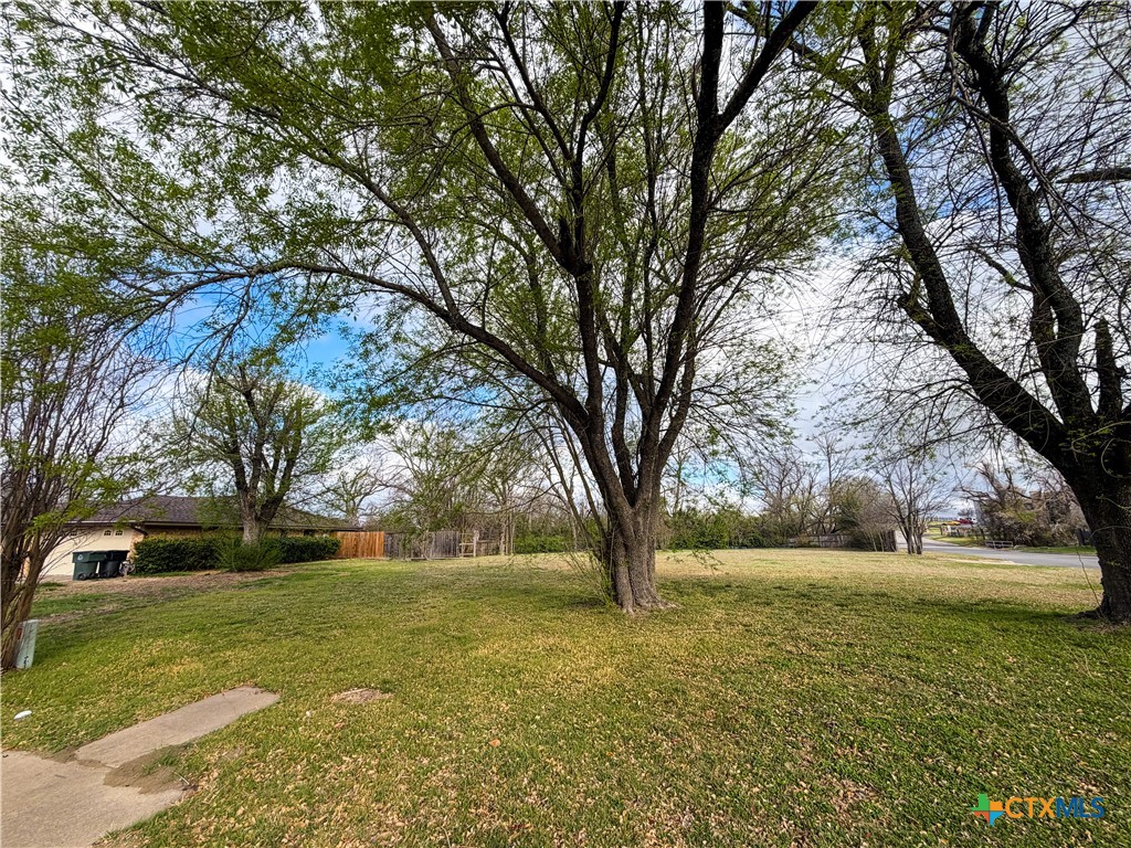 4302 Antelope Trail Temple, TX 76504 - Photo 2 of 4 a view of outdoor space with trees