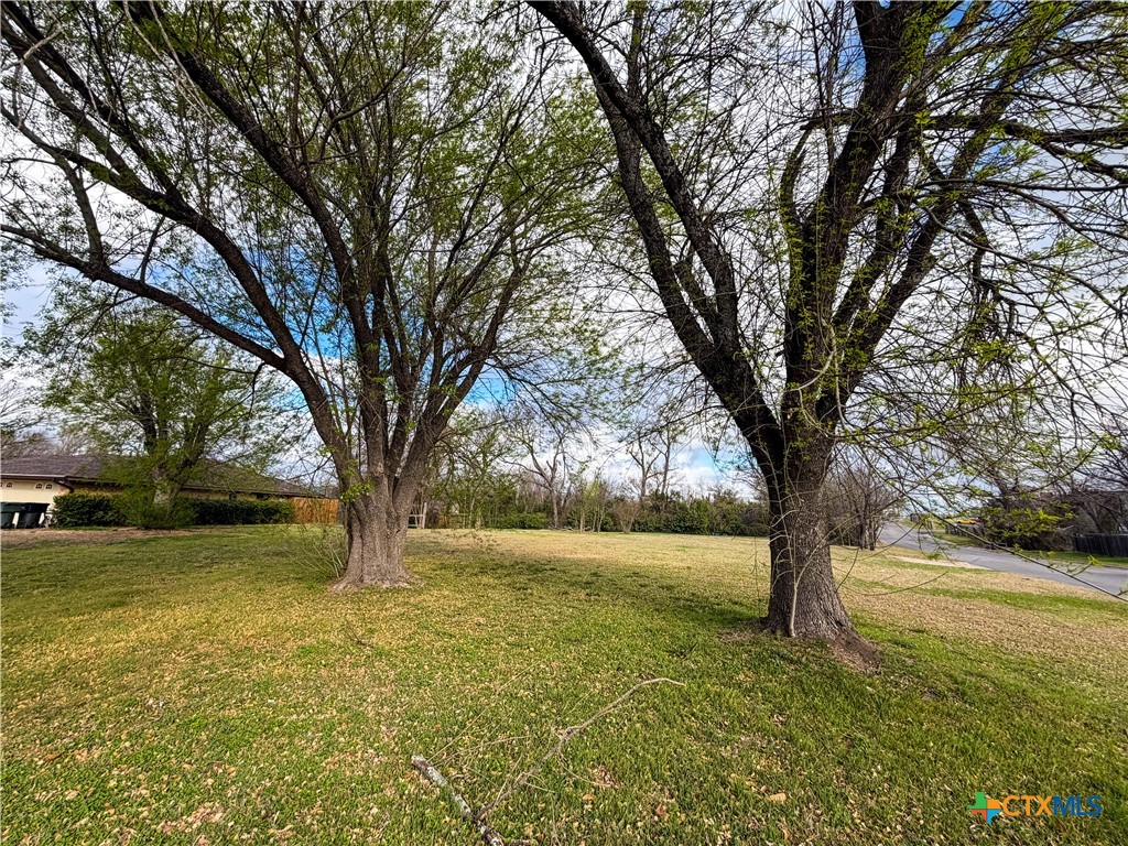 4302 Antelope Trail Temple, TX 76504 - Photo 3 of 4 a view of yard with trees