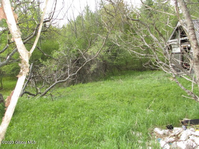 748 Hogback Road Crown Point, NY 12928 - Photo 2 of 8 IMG_4672