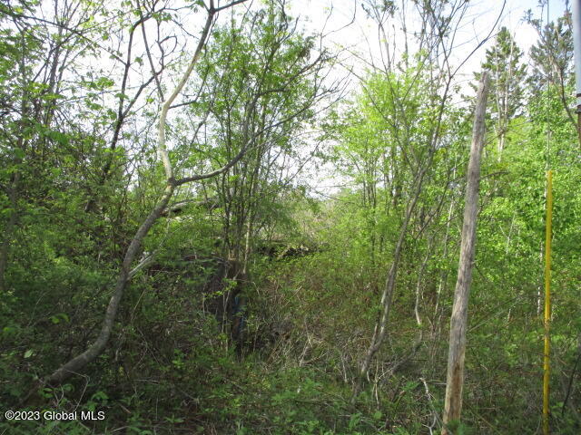 748 Hogback Road Crown Point, NY 12928 - Photo 5 of 8 IMG_4689