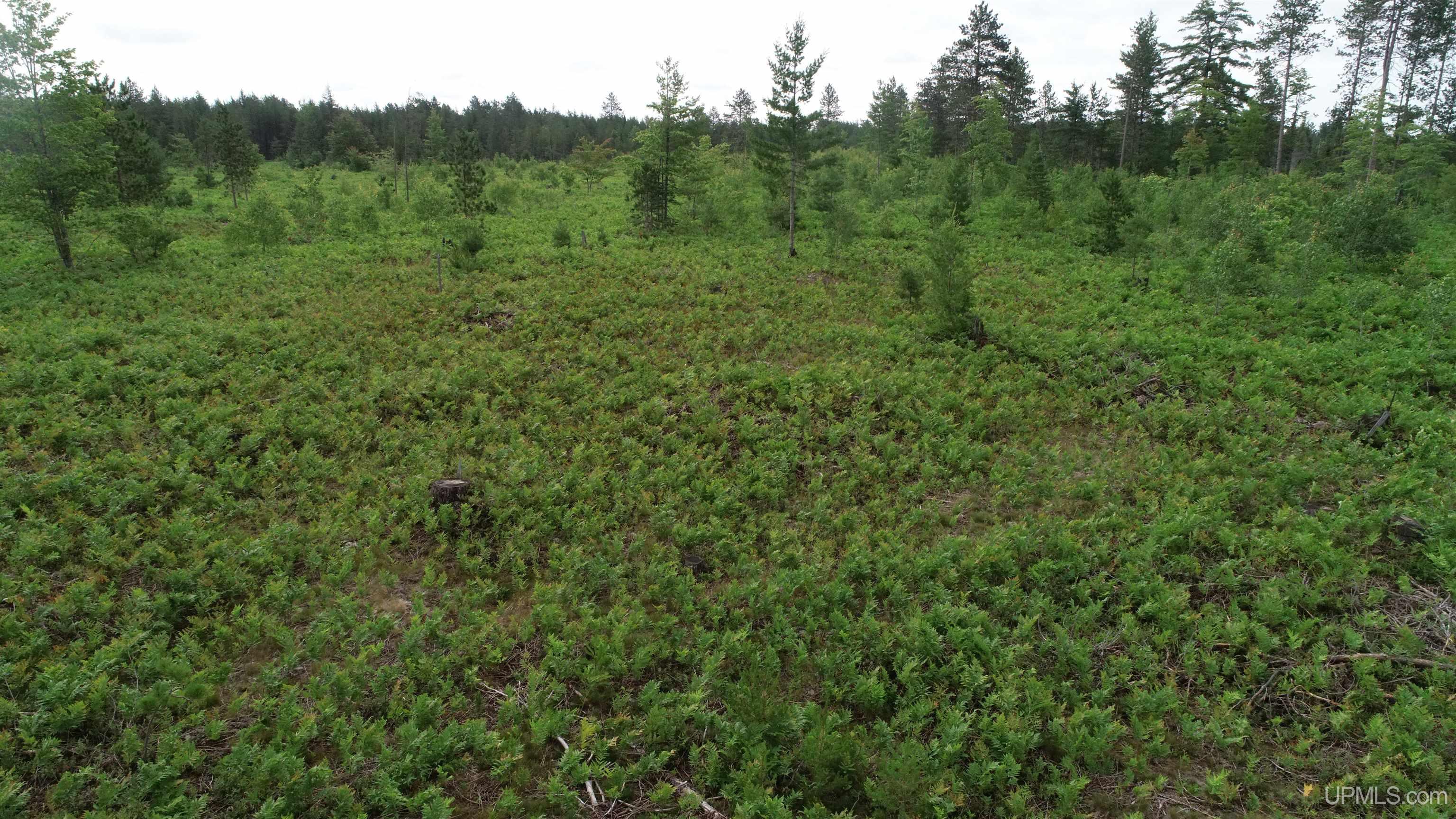 Tbd Tbd Hay Meadow Road Manistique, MI 49854 - Photo 20 of 51