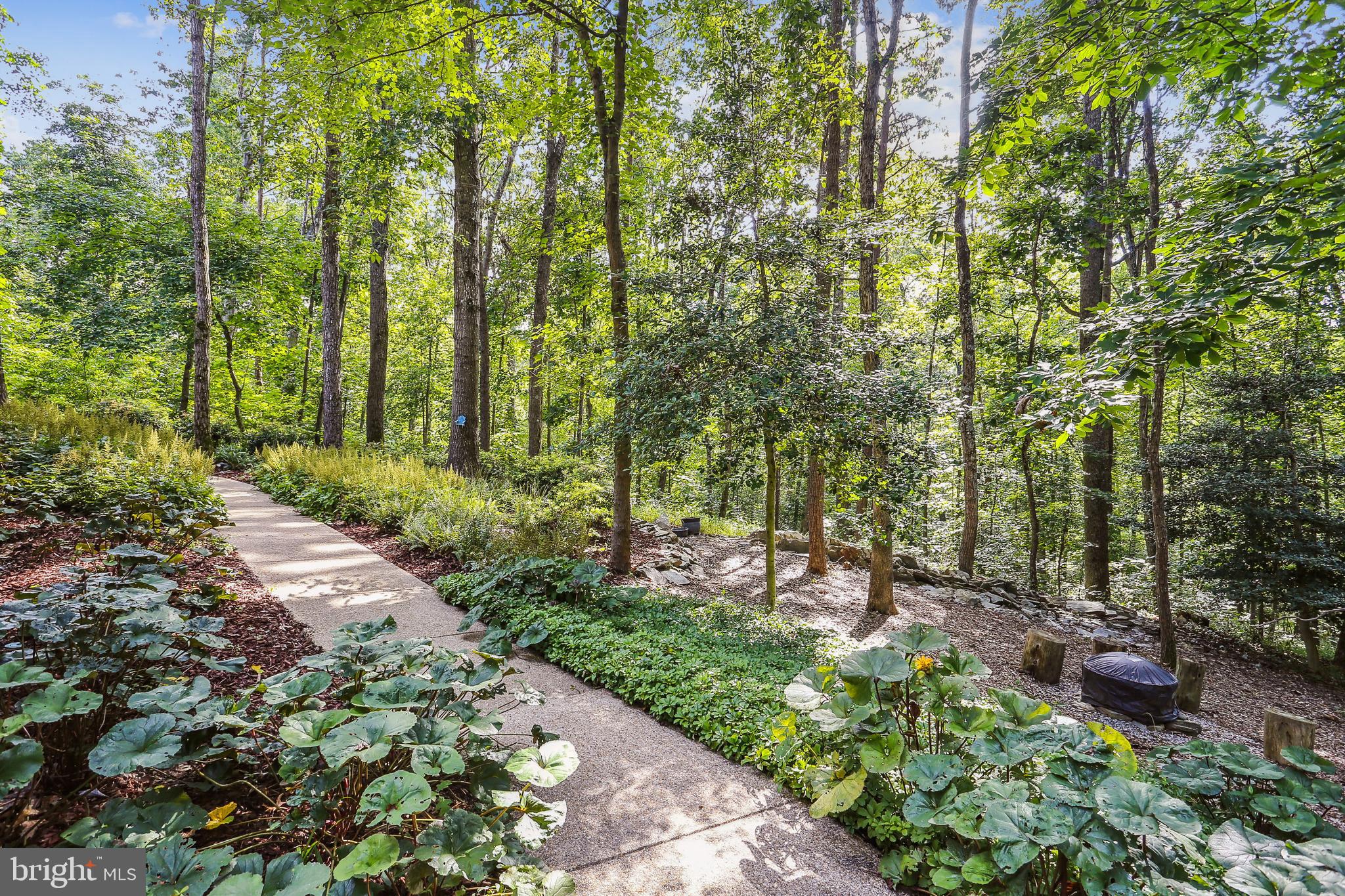 10737 Midsummer Drive Reston, VA 20191 - Photo 9 of 87 Gallery Image 9