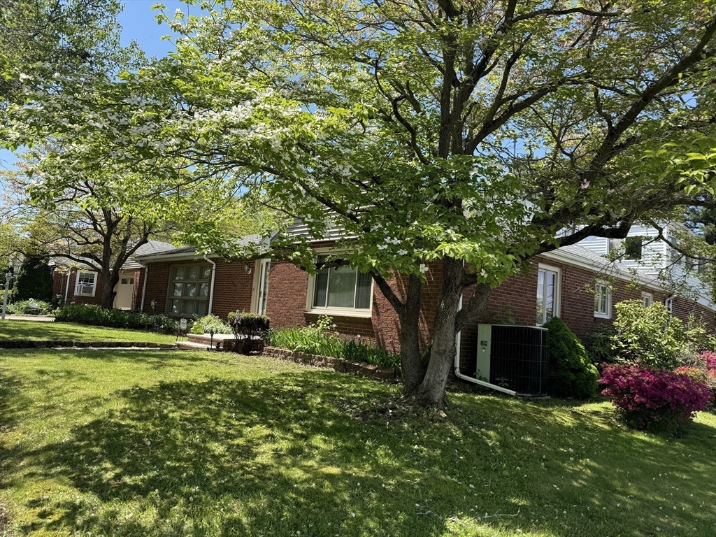 38 Albion Street Everett, MA 02149 - Photo 26 of 29