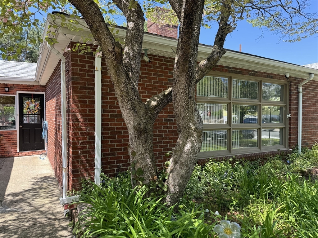 38 Albion Street Everett, MA 02149 - Photo 29 of 29