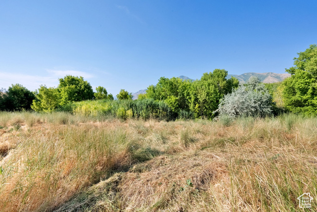 1632 South Main Street Springville, UT 84663 - Photo 84 of 93 View of local wilderness featuring a mountainous background