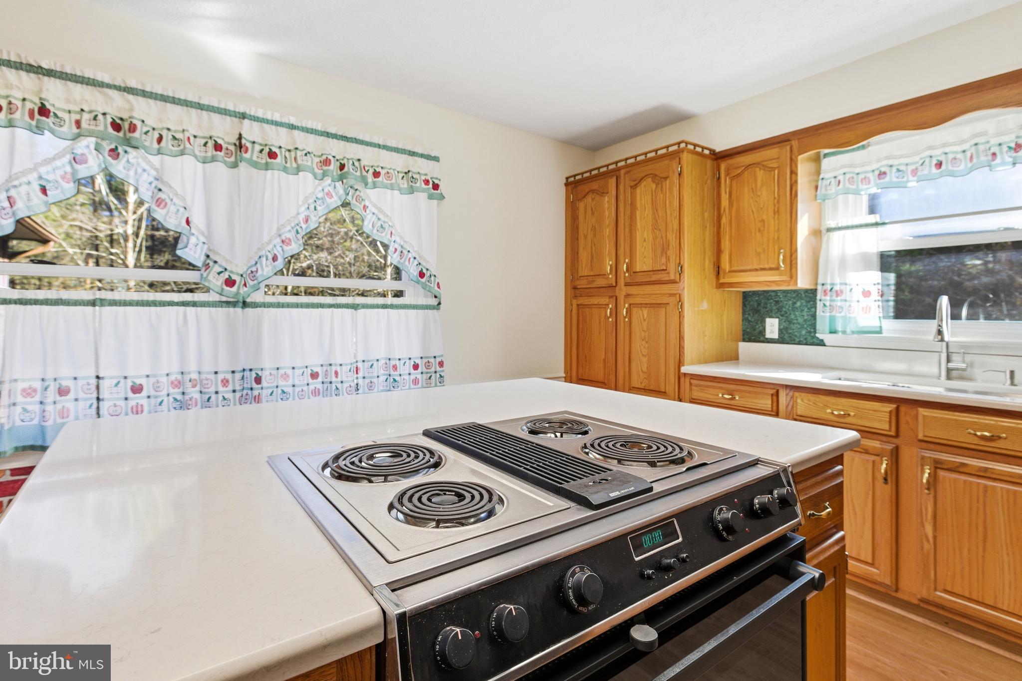 2800 Rocky Branch Road Luray, VA 22835 - Photo 18 of 94