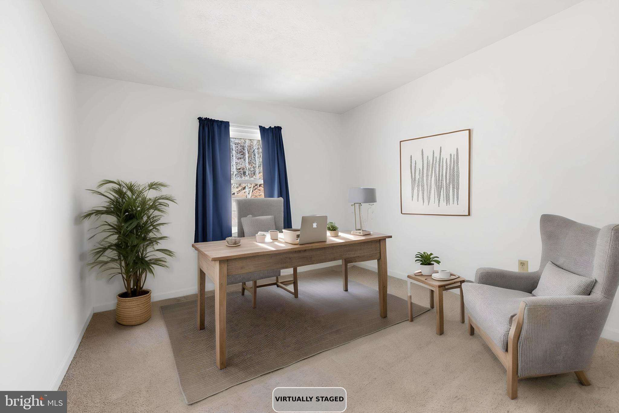 2800 Rocky Branch Road Luray, VA 22835 - Photo 26 of 94