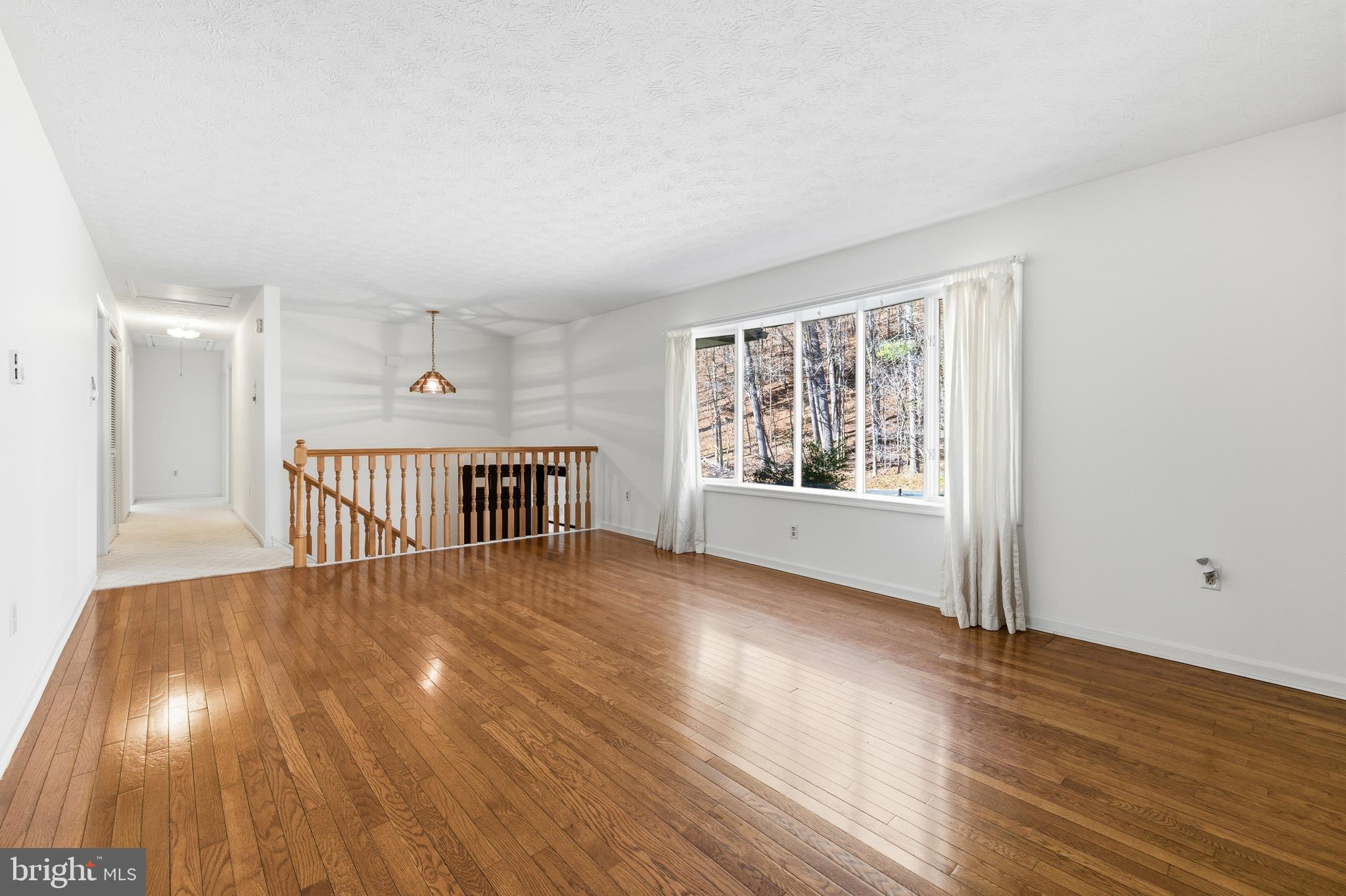 2800 Rocky Branch Road Luray, VA 22835 - Photo 4 of 94