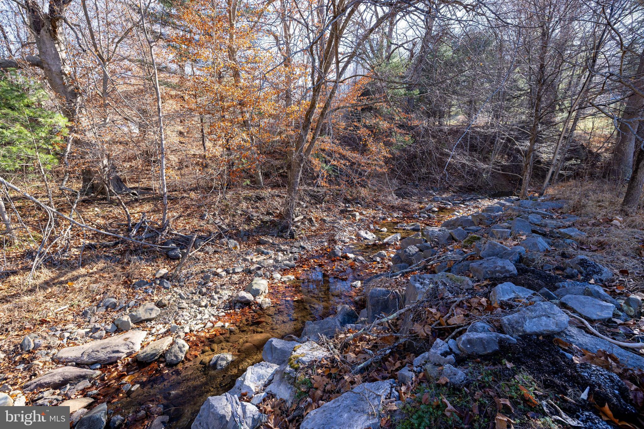 2800 Rocky Branch Road Luray, VA 22835 - Photo 75 of 94
