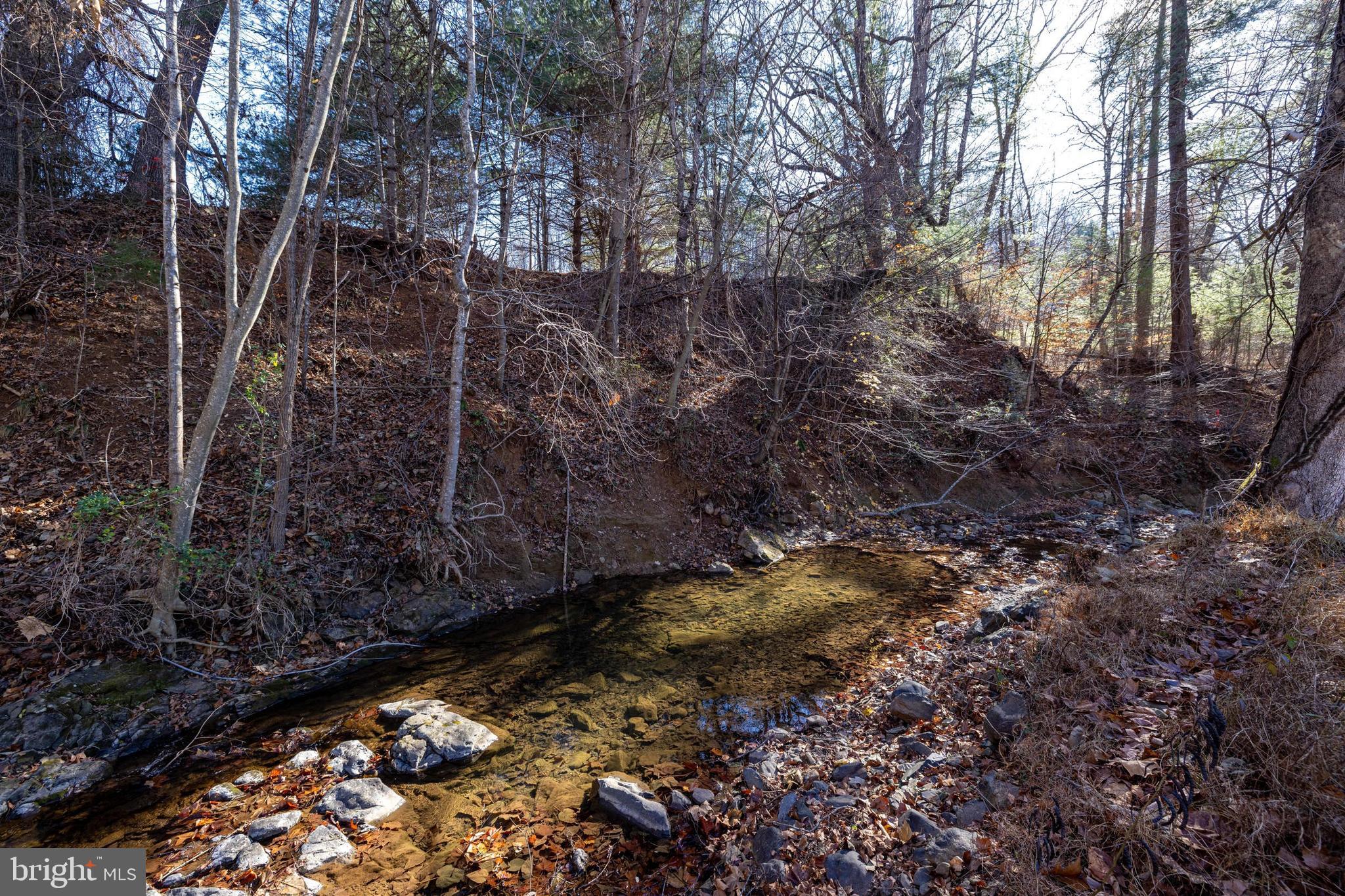 2800 Rocky Branch Road Luray, VA 22835 - Photo 76 of 94