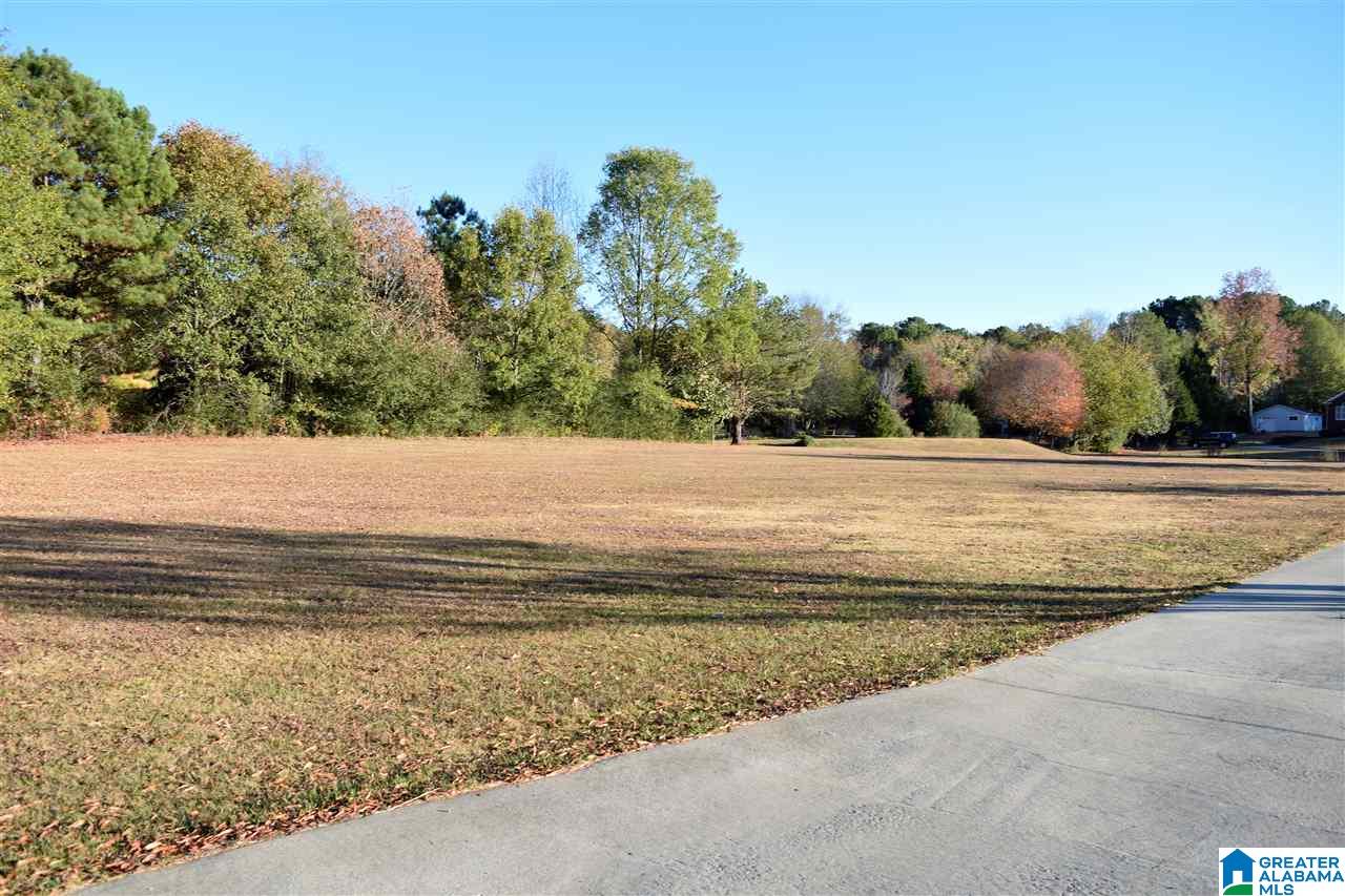 7441 Old Springville Road Trussville, AL 35173 - Photo 4 of 50