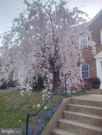 $325,000 | 2228 40th Street Northwest, Unit 1, Washington, DC 20007