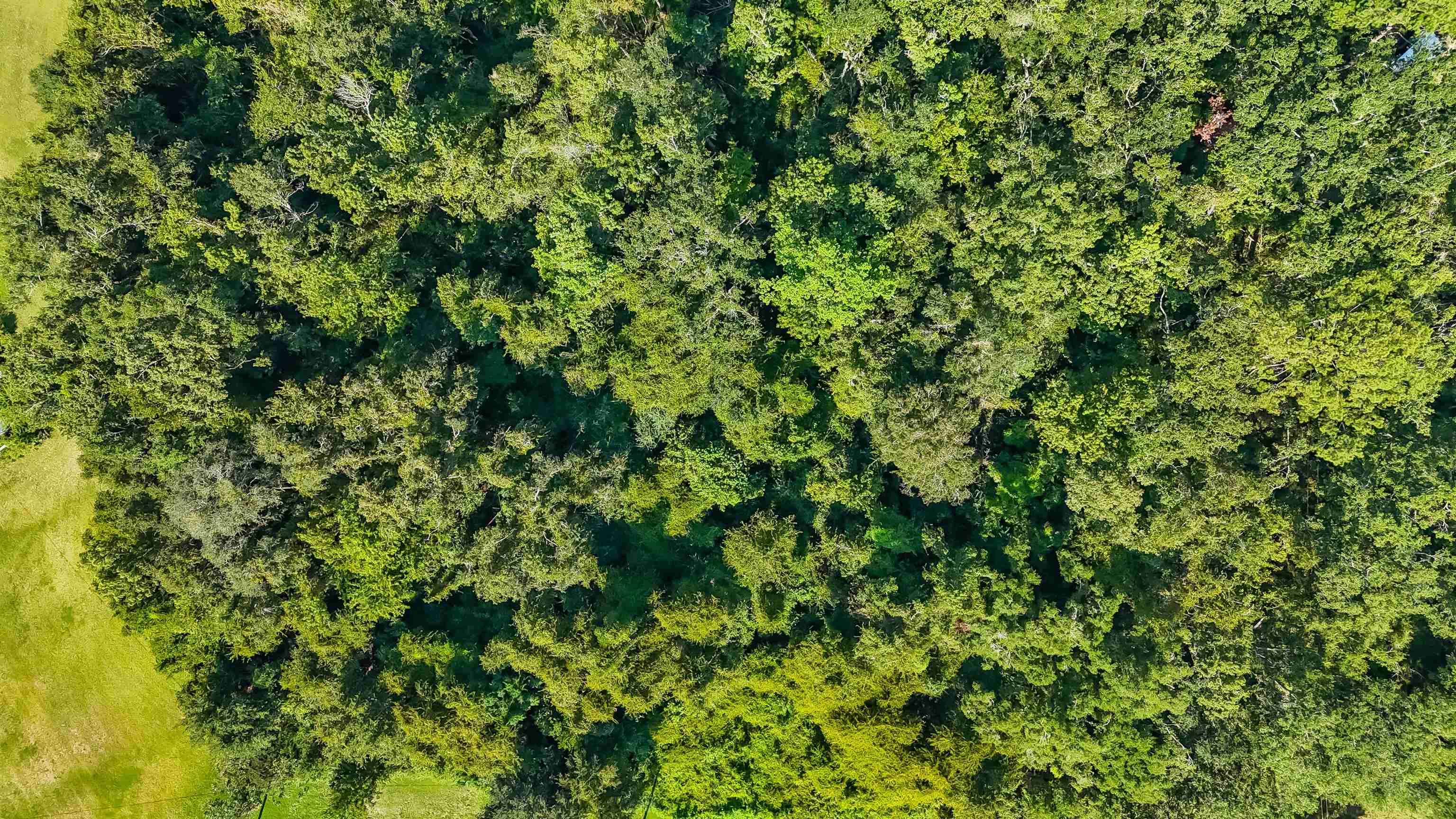 5936 Vista Road Monticello, FL 32344 - Photo 2 of 12