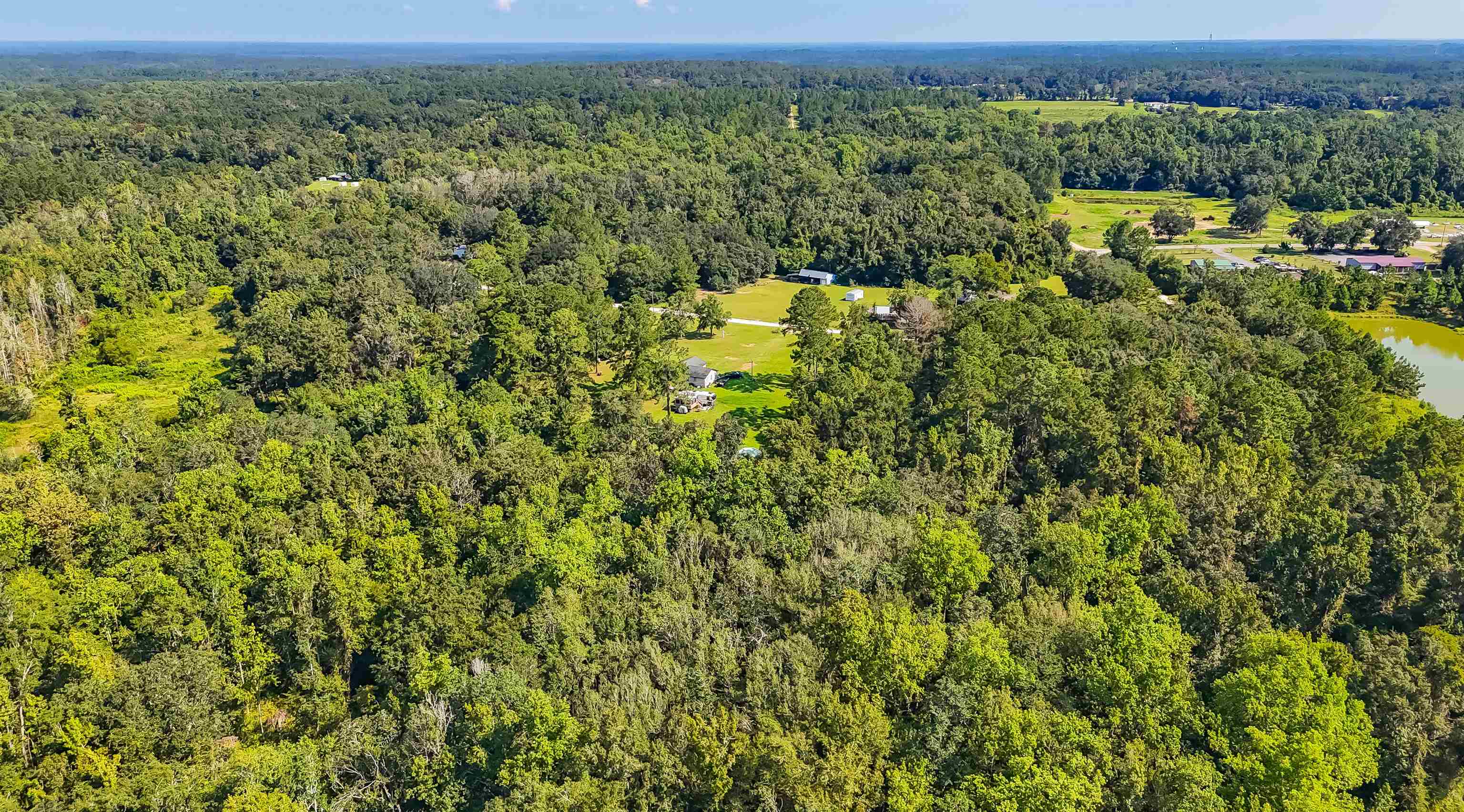 5936 Vista Road Monticello, FL 32344 - Photo 5 of 12