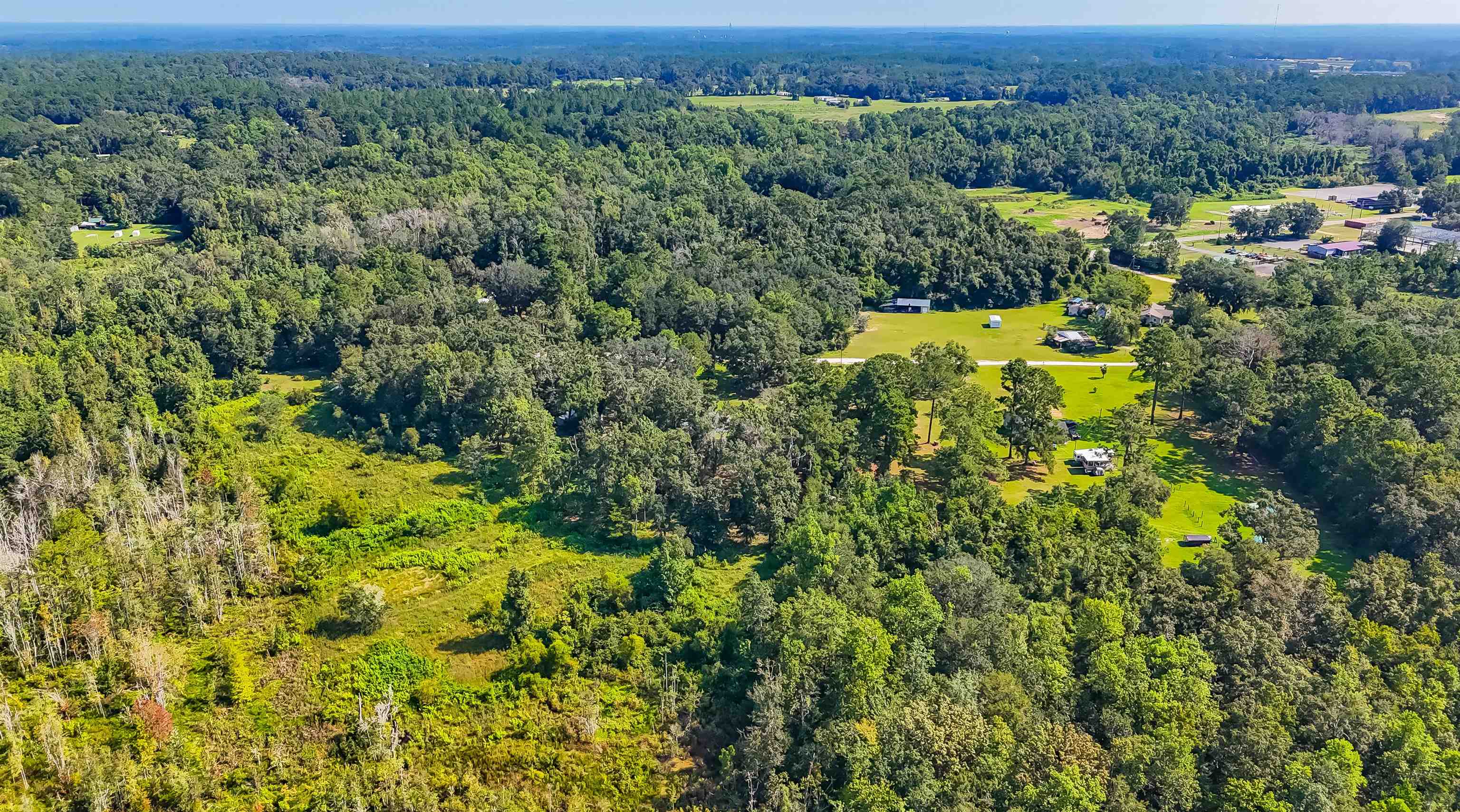 5936 Vista Road Monticello, FL 32344 - Photo 6 of 12