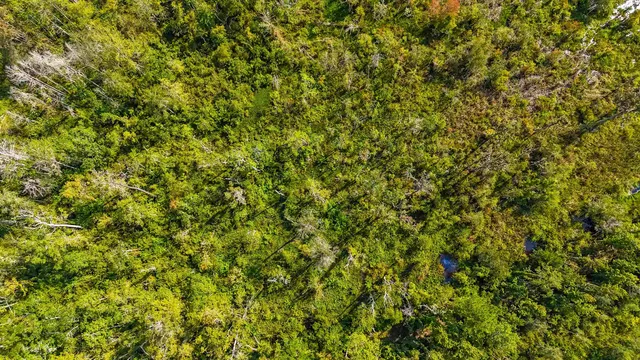 $165,000 | 5936 Vista Road, Monticello, FL 32344