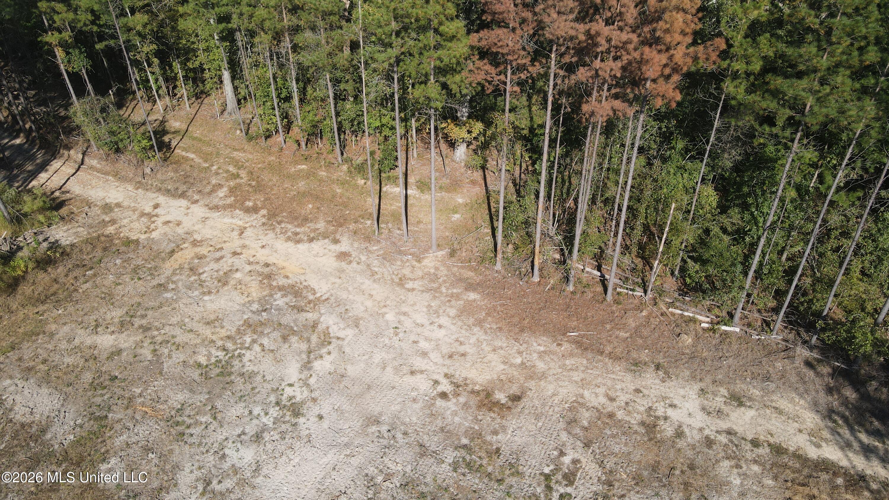 Loyd Irby Road Pelahatchie, MS 39145 - Photo 5 of 30 DJI_0235