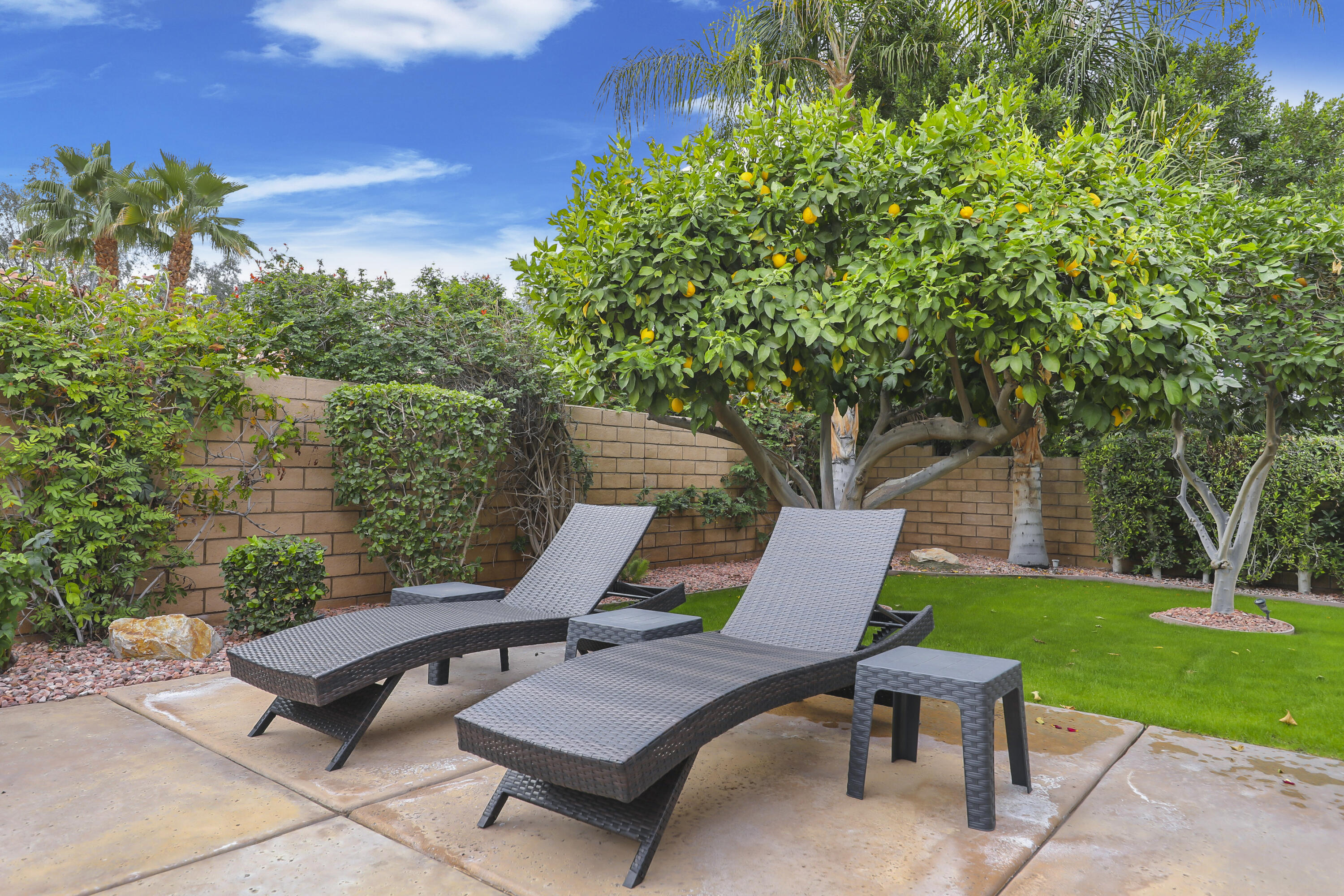3 Clear Lake Drive Rancho Mirage, CA 92270 - Photo 38 of 47 Backyard seating, fruit trees