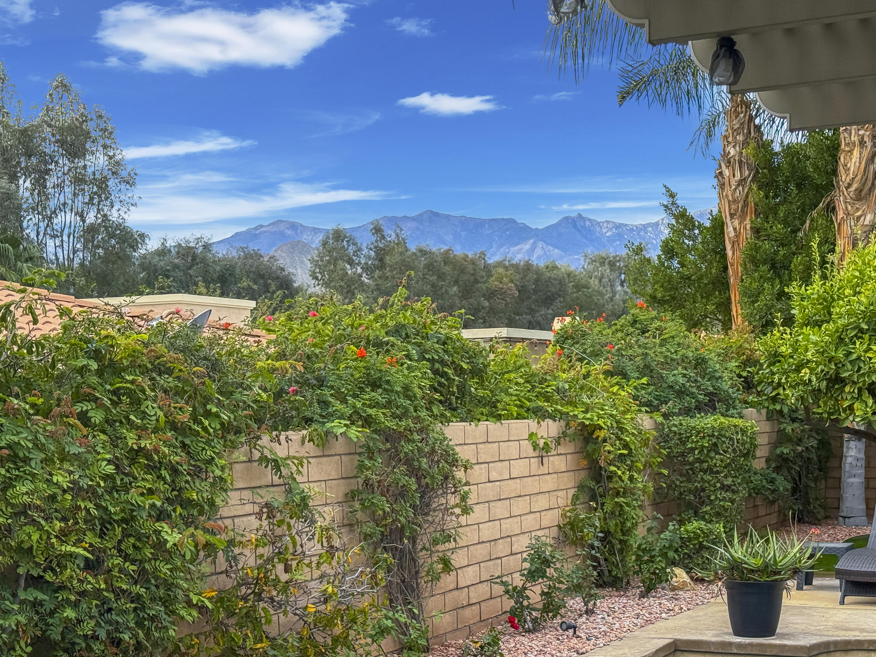 3 Clear Lake Drive Rancho Mirage, CA 92270 - Photo 40 of 47 Backyard views