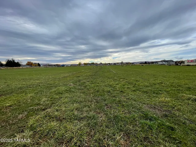 a aerial view of a house with a yard and lake view