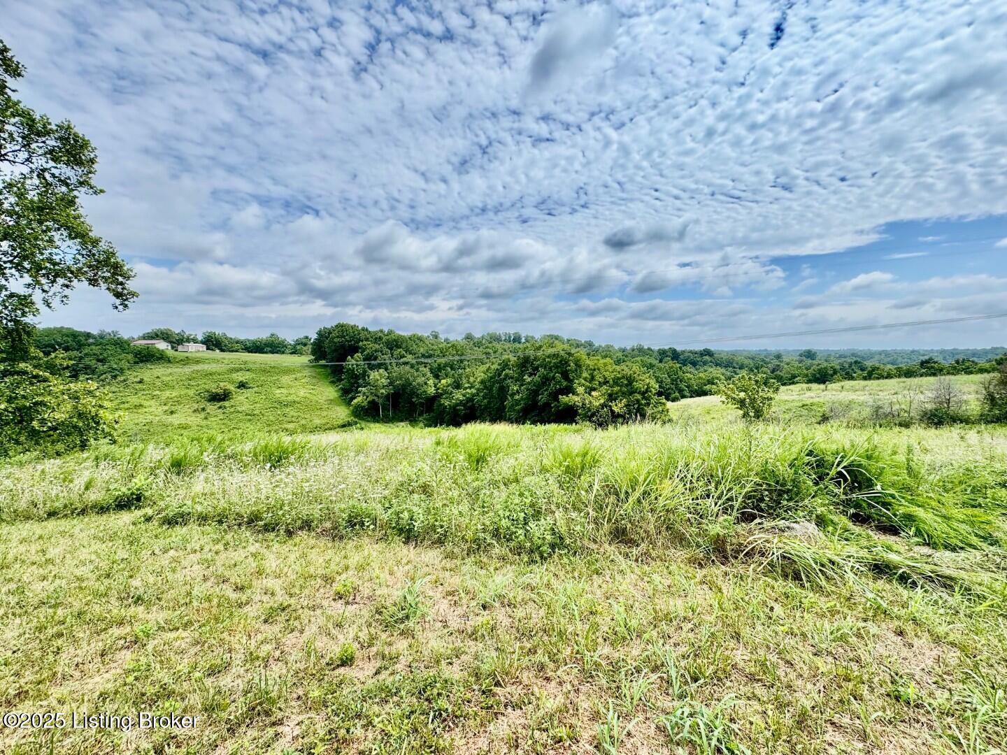 13 Baker Road Willisburg, KY 40078 - Photo 5 of 6 IMG_3779 (Large)
