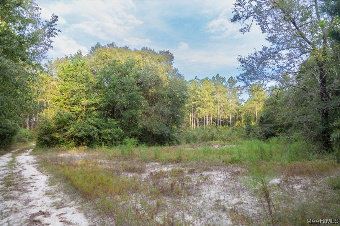 10 County Road 10 Samson, AL 36477 - Photo 8 of 22 Gallery Image 8