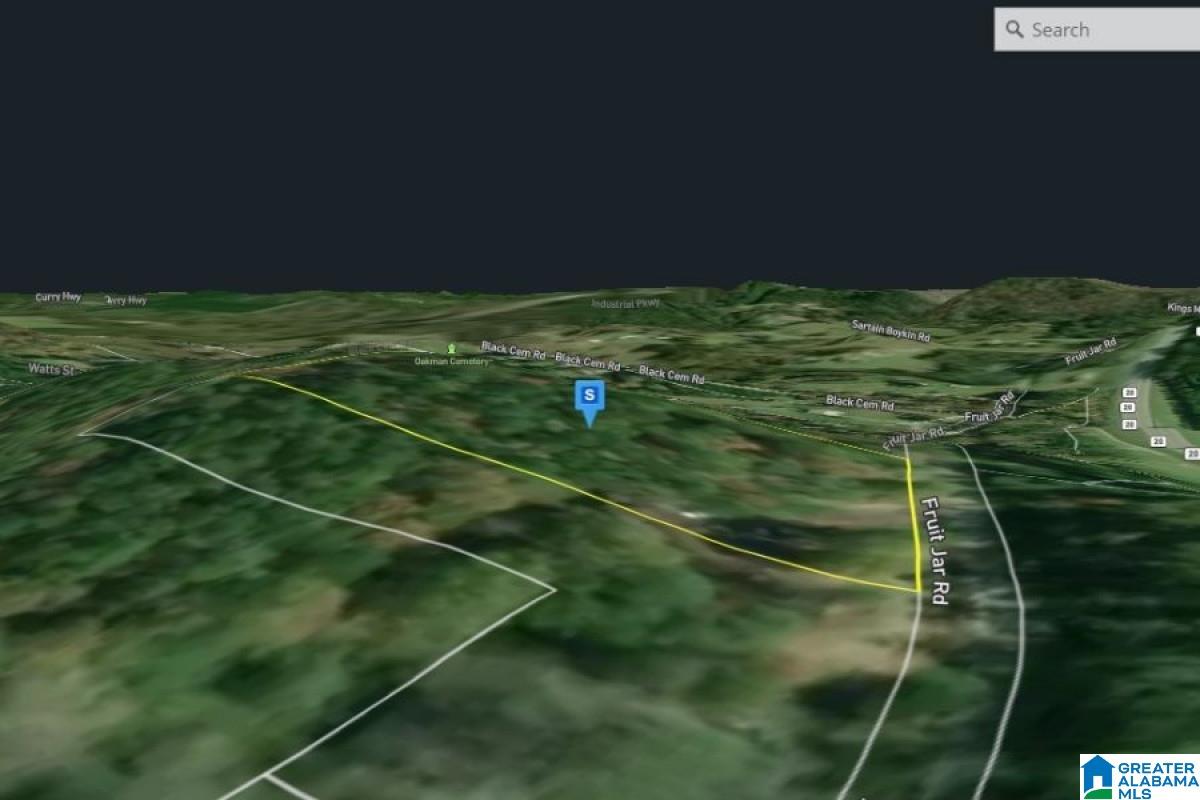 0 Fruit Jar Road Oakman, AL 35579 - Photo 5 of 6