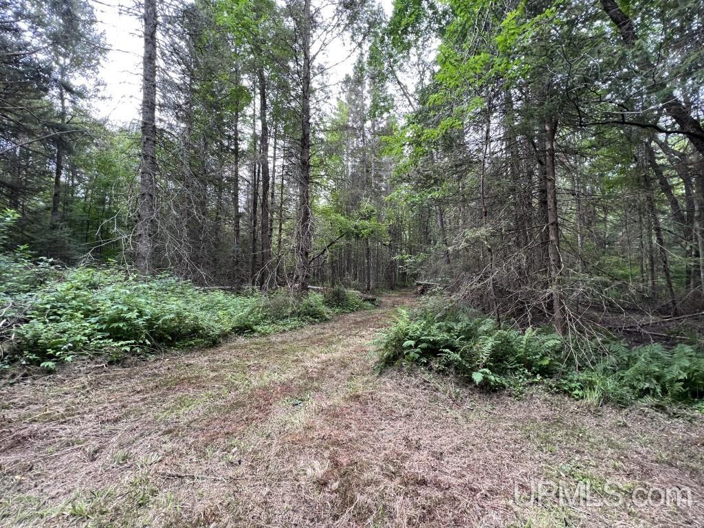 Tbd Tbd Stack Grade Little Lake Rock, MI 49880 - Photo 35 of 45