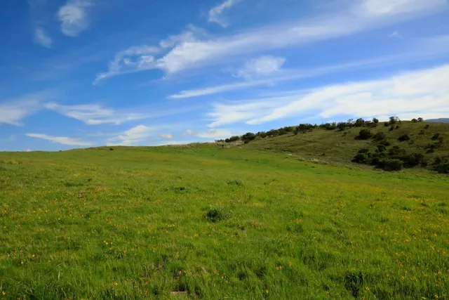 a view of an ocean and beach