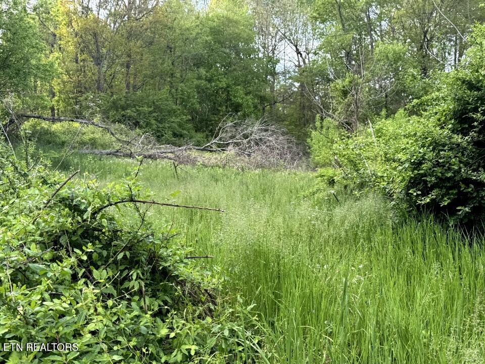 454 Atkins Road New Tazewell, TN 37825 - Photo 3 of 3 Resized_IMG_1191