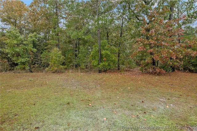 $274,900 | 159 English Oak Drive, Bunnlevel, NC 28323