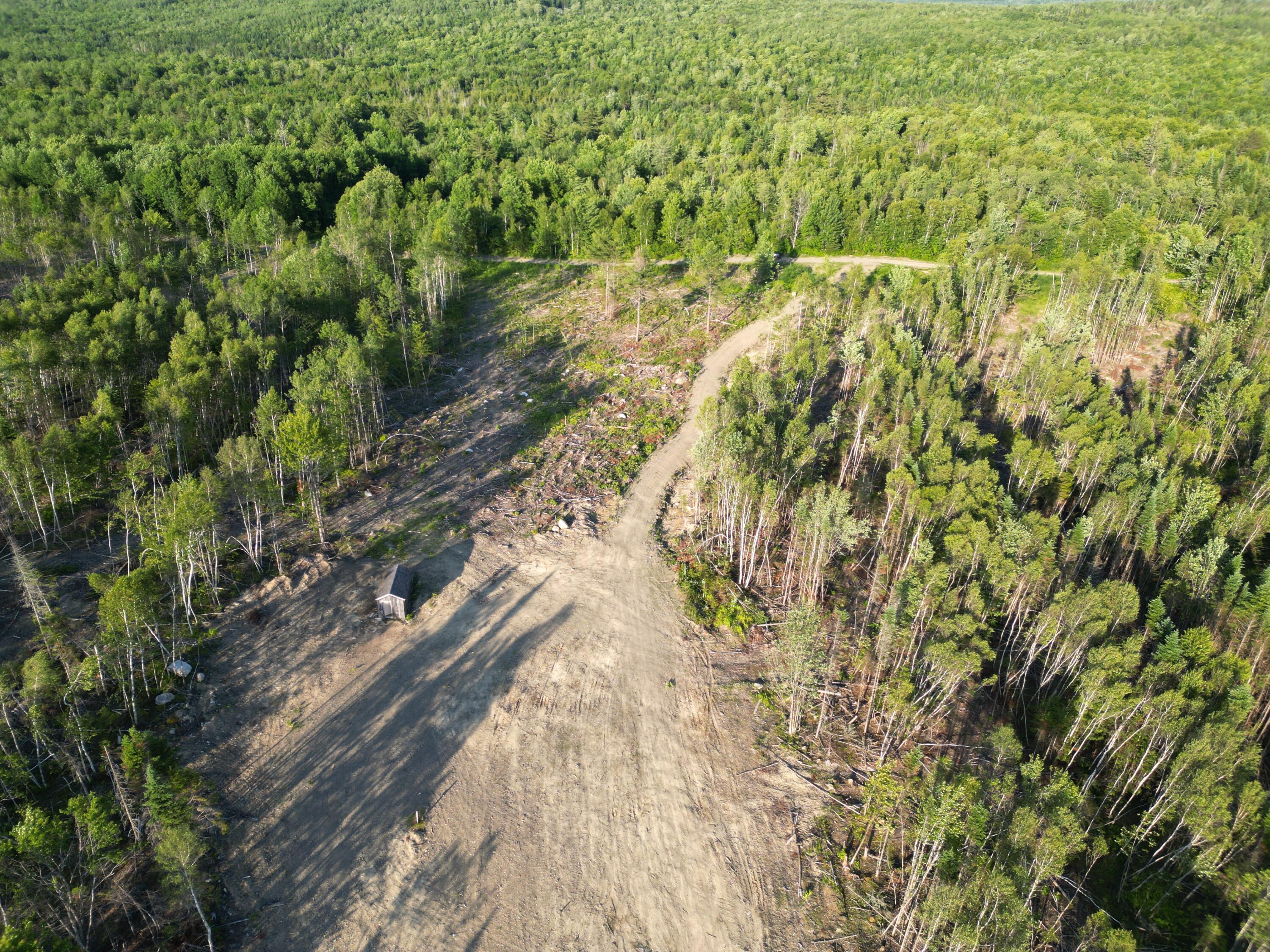 Lot 2 Sheepskin Road Carroll Plt, ME 04487 - Photo 6 of 15 DJI_0953