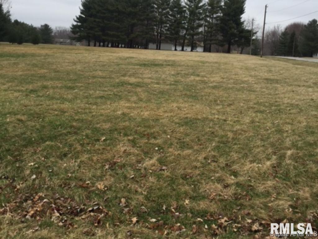 78 Walnut Hills Springfield, IL 62704 - Photo 1 of 1